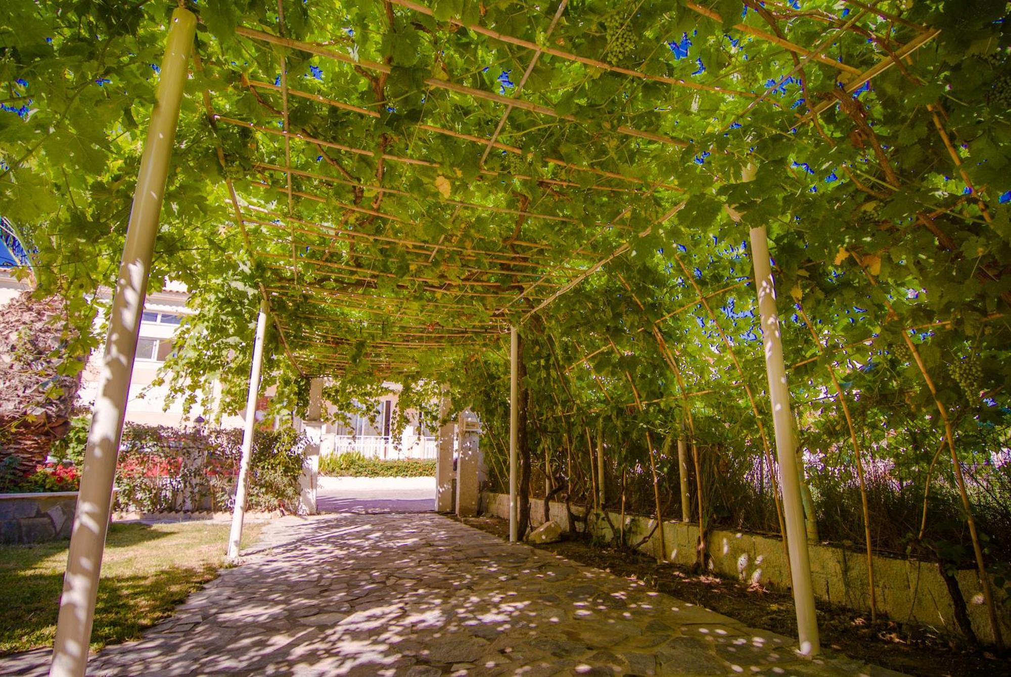 Sea Side Studios Tsilivi  Exterior photo